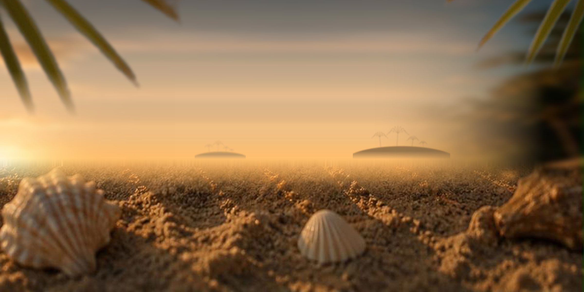 EVANA tanning oil on the sand at sunset